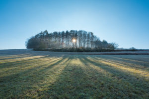 Field landscape with forest on a winter morning Field landscape with forest on a winter morning
